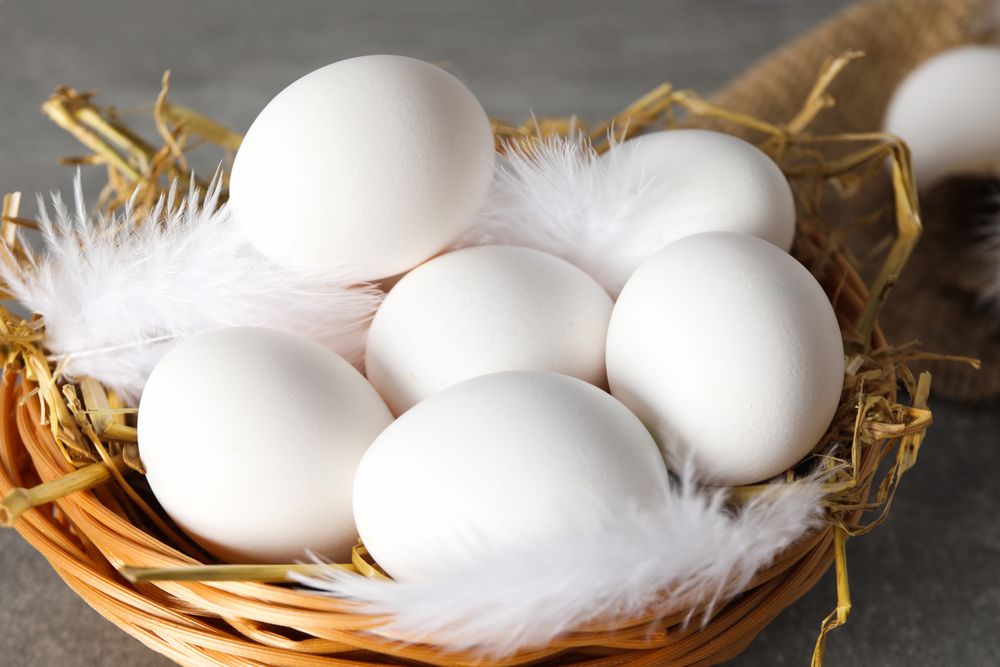 Concept of fresh and natural farm product - eggs