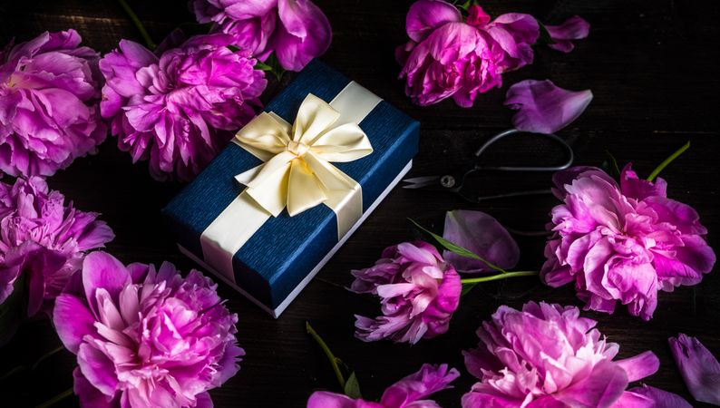 Blue gift box surrounded by peonies