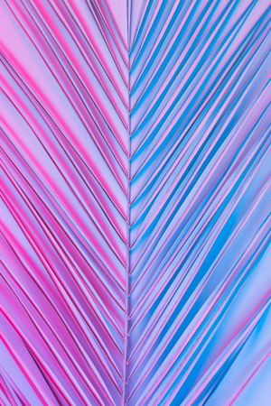 Tropical palm leaf in vibrant gradient holographic colors