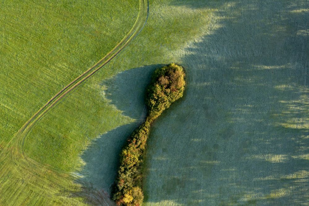 Aerial view with green meadow in the morning covered in frost
