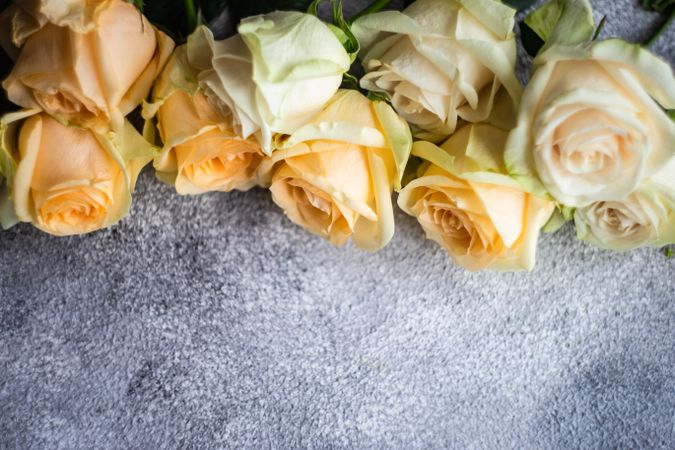 Top view of yellow flowers on grey counter with space for text