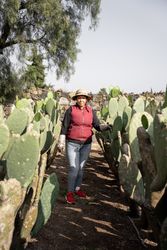 Portrait of an adult woman posing in a nopal field during the harvest