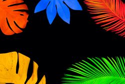 Neon tropical leaves pattern in vivid fluorescent colors bordering dark background