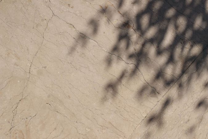 Tree branches shadows on beige marble floor. Textured background. Dark silhouette of leaves in sunlight. Summer vacation, nature concept. Natural shadow overlay. Flat lay, top view. Copy space.