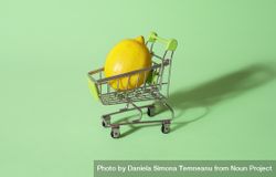 Lemon in tiny shopping cart 5ogz15