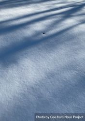Shadows on snow 0VG8N5