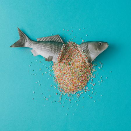 Fish cut in half with pile of colorful sprinkles