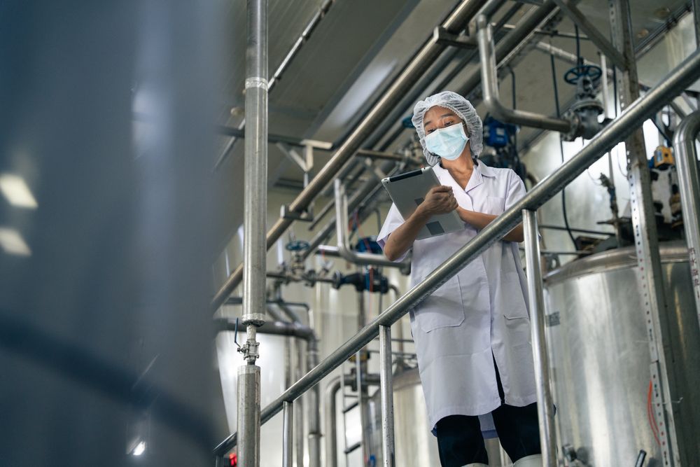 A food factory researcher inspecting canned food conveyor belt machine.
