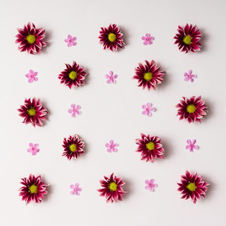 Dark red and pink flower pattern on light background