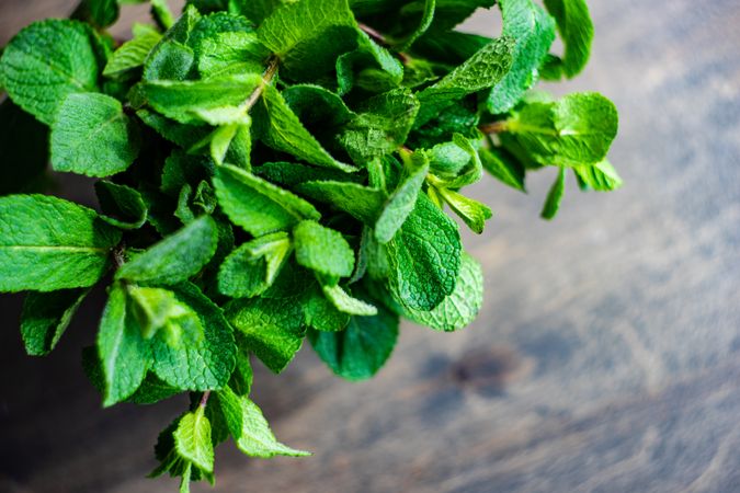 Organic mint leaves, top view