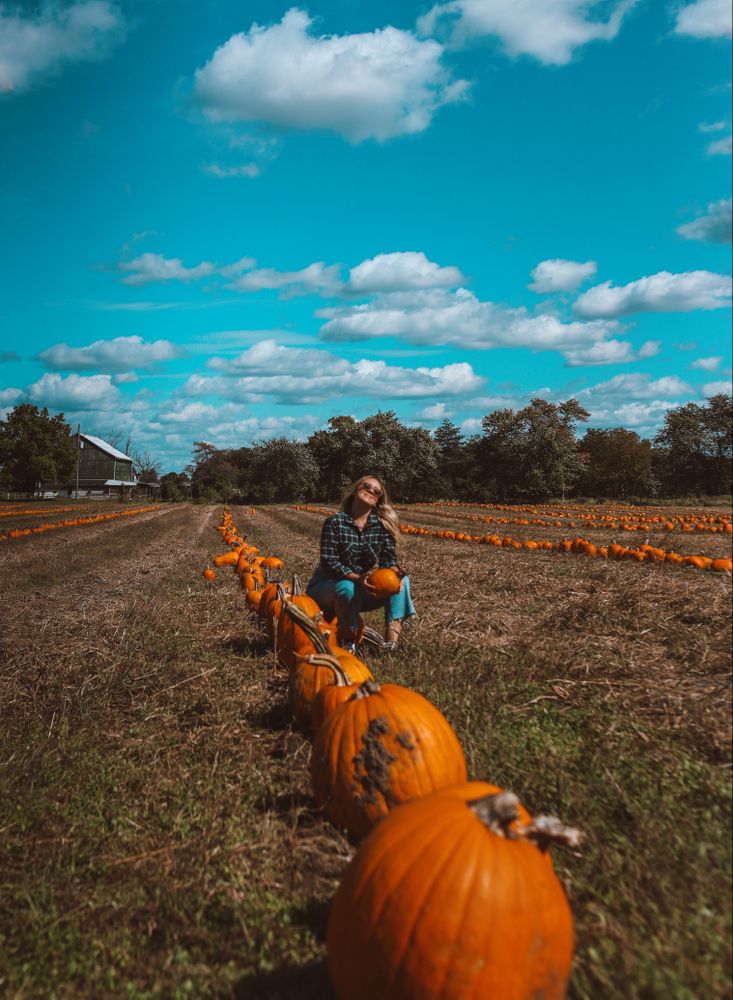 Blonde woman crouching beside a line of pumpkins