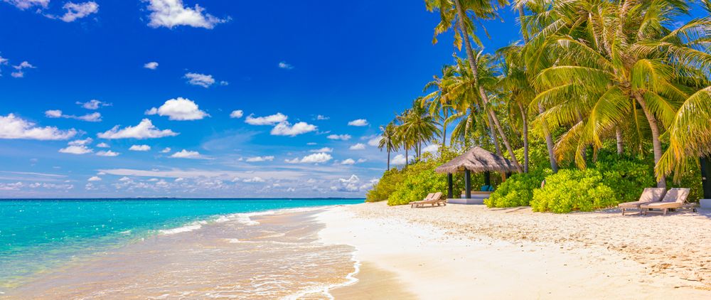 Beautiful tropical beach with palm trees and cabanas