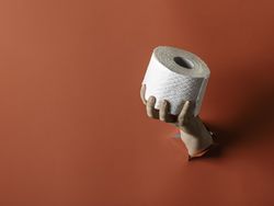 Toilet paper punched through wall