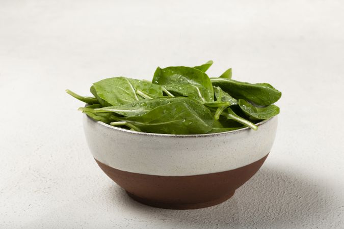 Arugula salad in a bowl