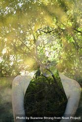 Double exposure shot of woman in nature with face replaced by trees 4mWN70