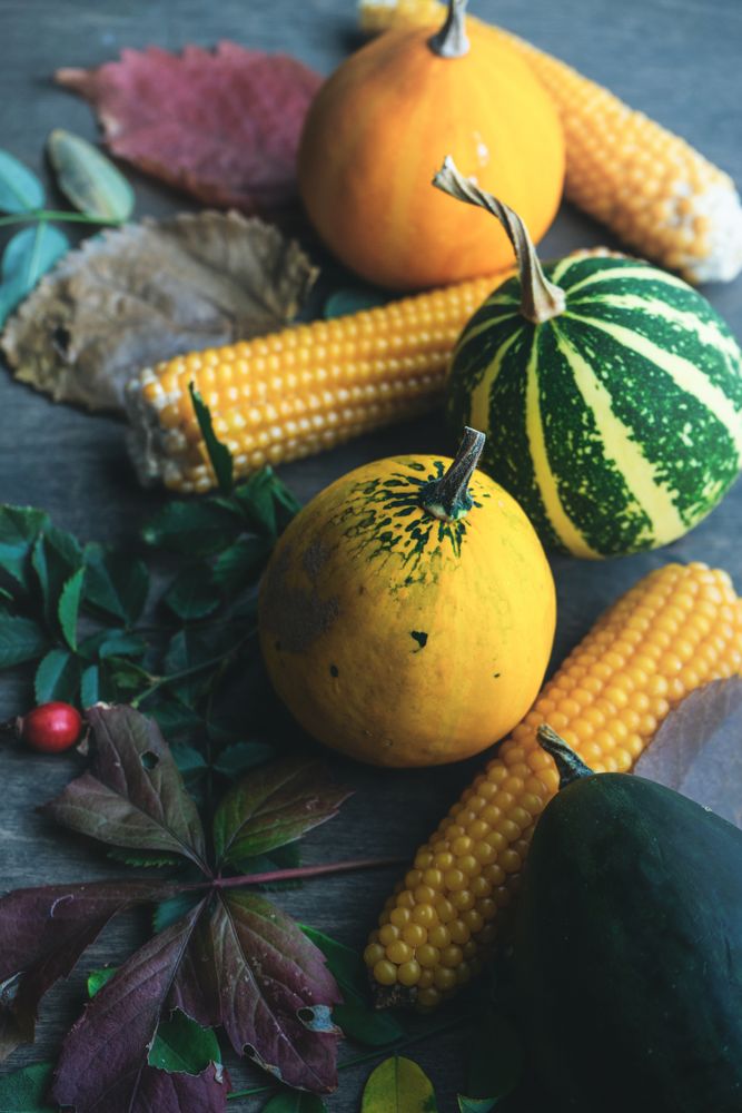 Mini squashes and corn with autumn leaves on table