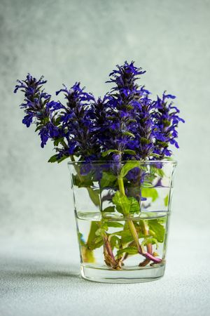 Side view of glass of blue flowers