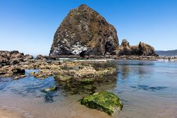 A view of Haystack Rock, Cannon Beach, Oregon E43Wr4