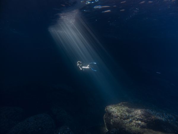 Underwater shot of woman diving