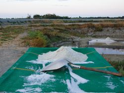 Salt mound and shovel on tarp