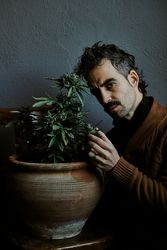 a young brown-haired man smelling his marijuana plant at home