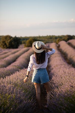 Anonymous woman walking in lavender field