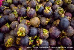 Loose passion fruits for sale in market 5kRmoW
