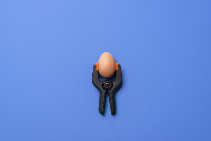 Egg in a clamp