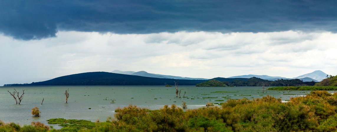 Lake Naivasha Nakuru City County Kenya East Africa Landscapes