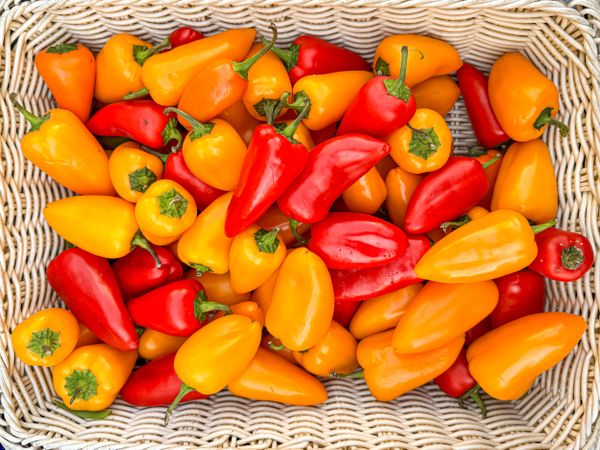 Sweet peppers in basket