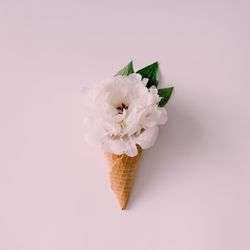 Ice cream cones with big flower