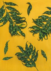 Green tree leaves on mustard yellow background