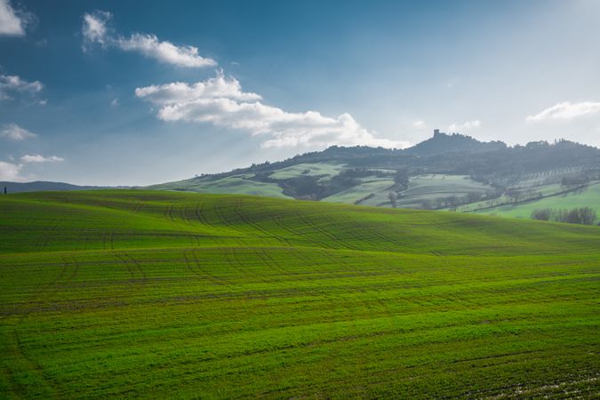 Wonderful empty green fields