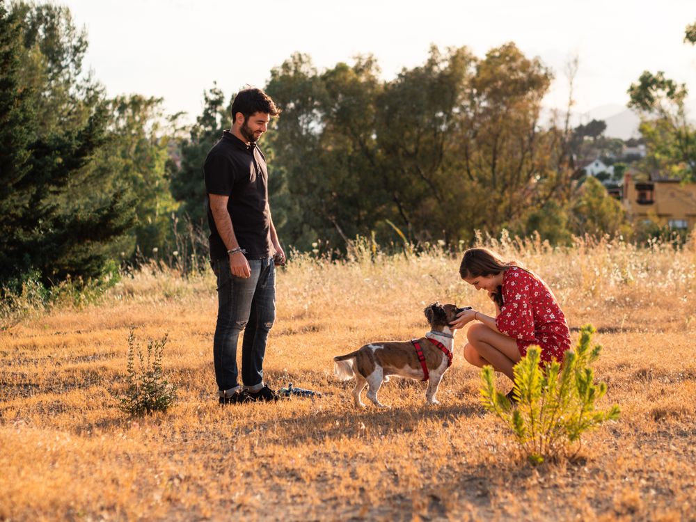 Happy active couple playing with dog outdoors