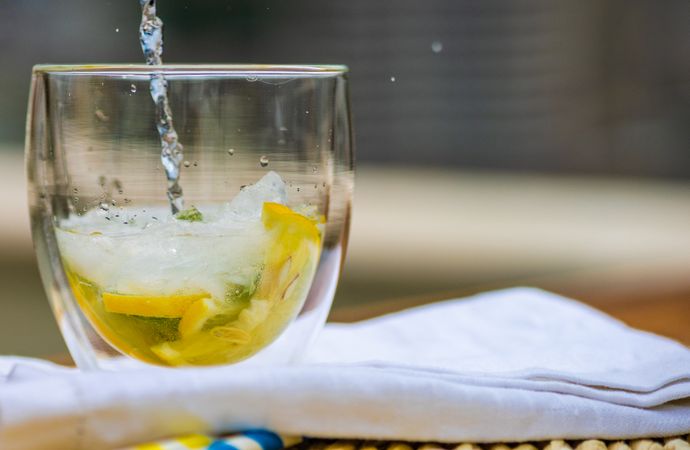 Gin and tonic cocktail with lemon and mint