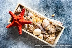 Top view of wooden box full of sea shells on stone background 5oDqjk