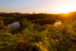 Peaceful river flowing in green nature