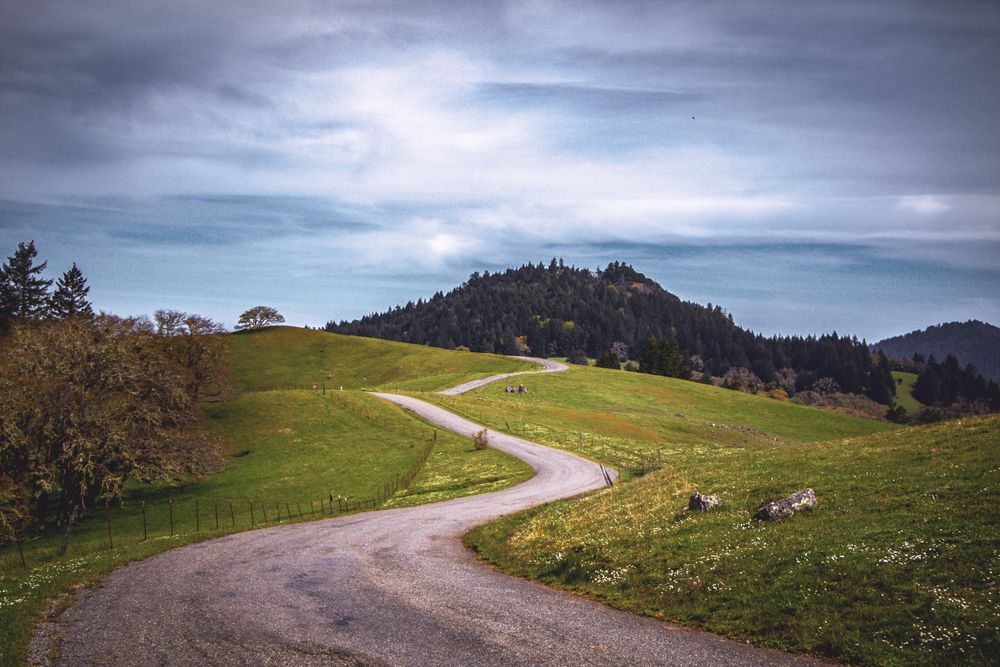 Winding road surrounded by green grass in the mountains