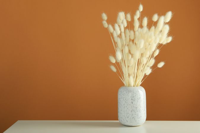 Vase of dried bunny tail bouquet on table in brown room