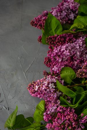 Spring floral card concept with lilac flowers on concrete counter with vertical composition