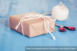 Gift wrapped in plain brown paper with natural twine 5RAxA0