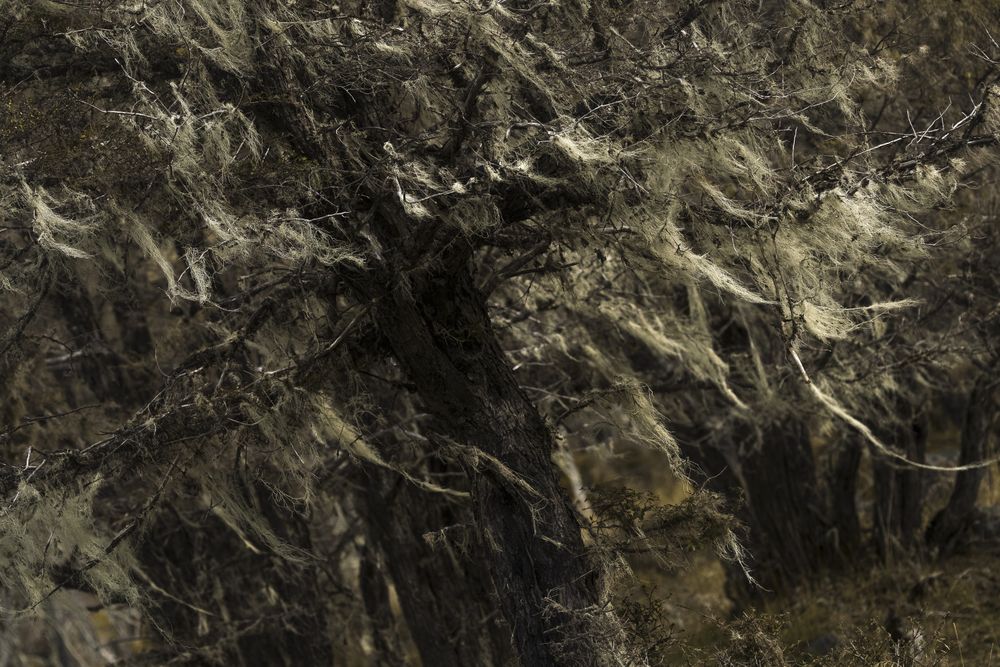Jagged rocky crevices in rocky wild mountains