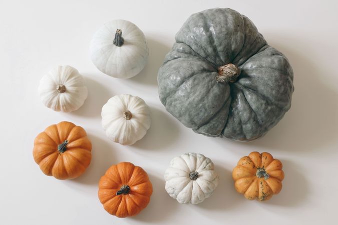 Set of little orange and big green pumpkins isolated on table background