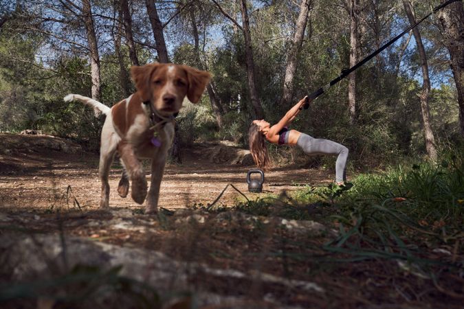 Woman training and walking dog
