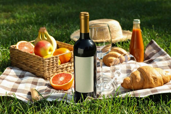 Picnic composition with wine and food against green grass, space for text