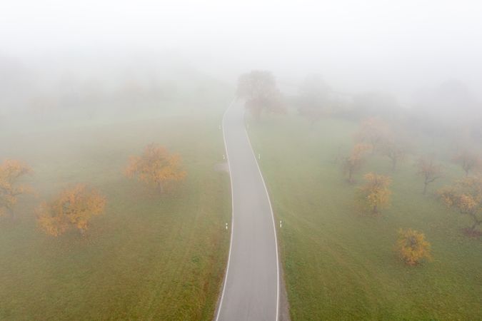 Drone shot with a road passing through an autumn orchard on a foggy morning