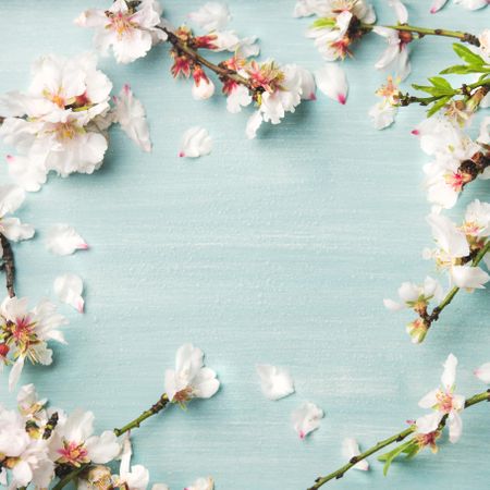 Spring floral background, texture and wallpaper