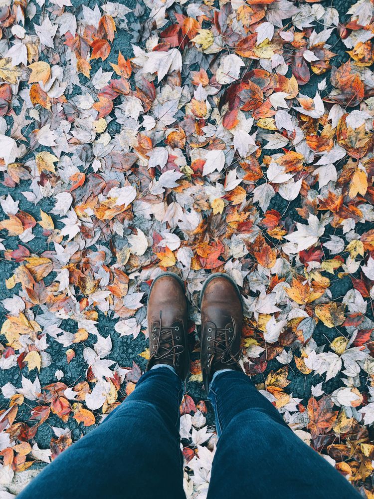 Person standing on yellow leaves on the ground