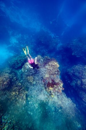 Anonymous diver exploring coral reef in ocean