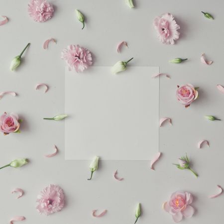Flowers and leaves on marble background with paper card